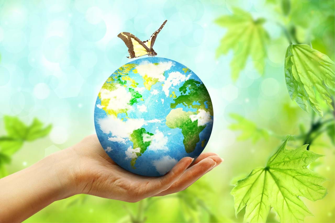 Hands holds a globe with a butterfly